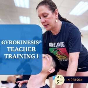 Gyrokinesis Workshop 1